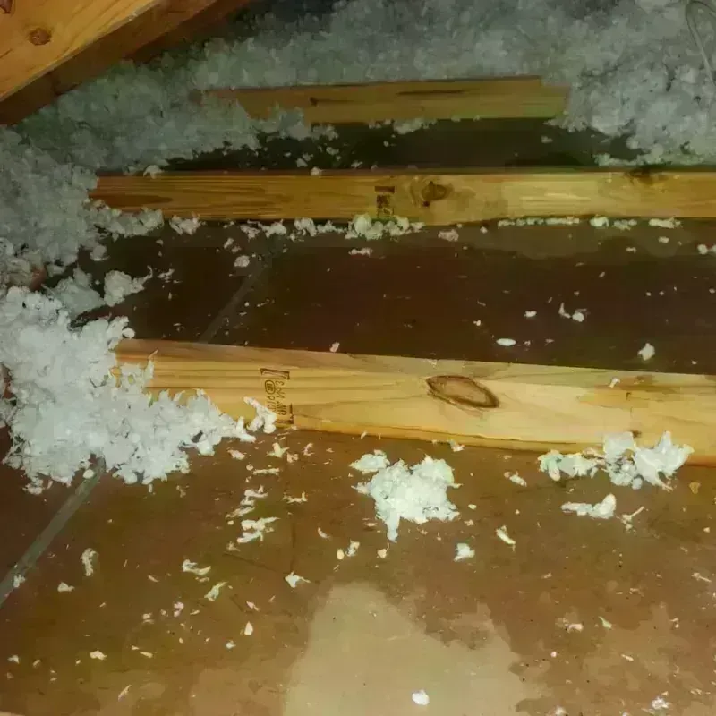 Attic Water Damage in Monroe County, AR