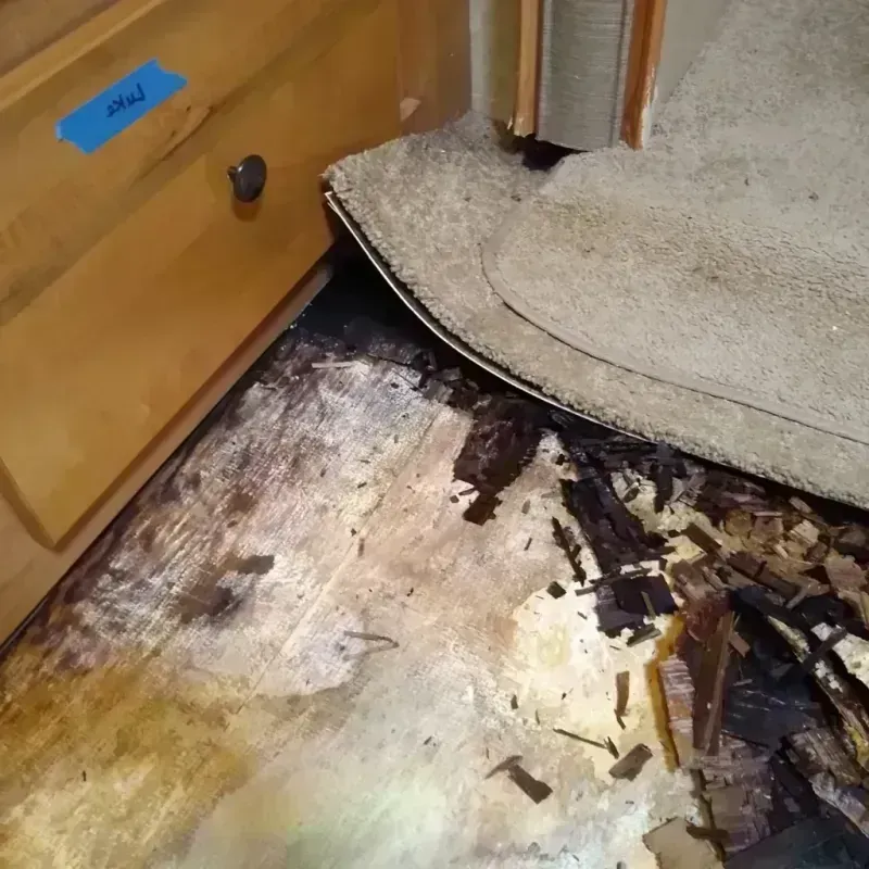 Best Wood Floor Water Damage Service in Monroe County, AR